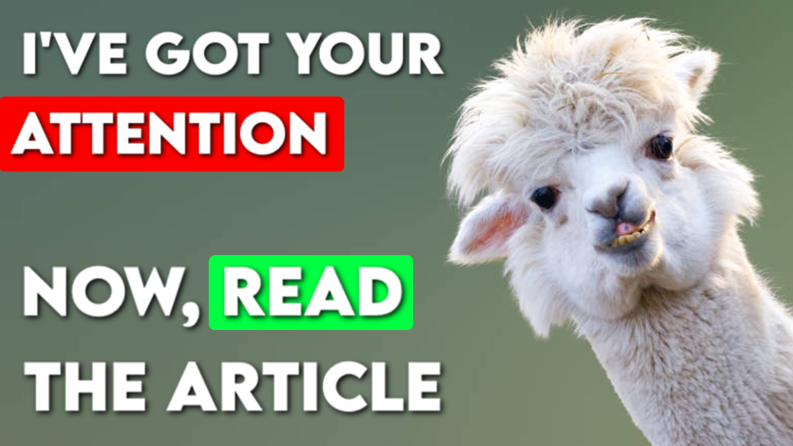 12 tips for starting an online business